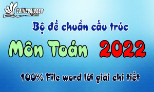 Bộ đề phát triển theo cấu trúc đề minh họa 2022 - Môn Toán - File word có ma trận lời giải chi tiết